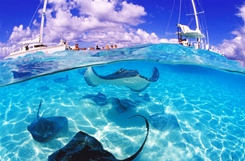 Cayman